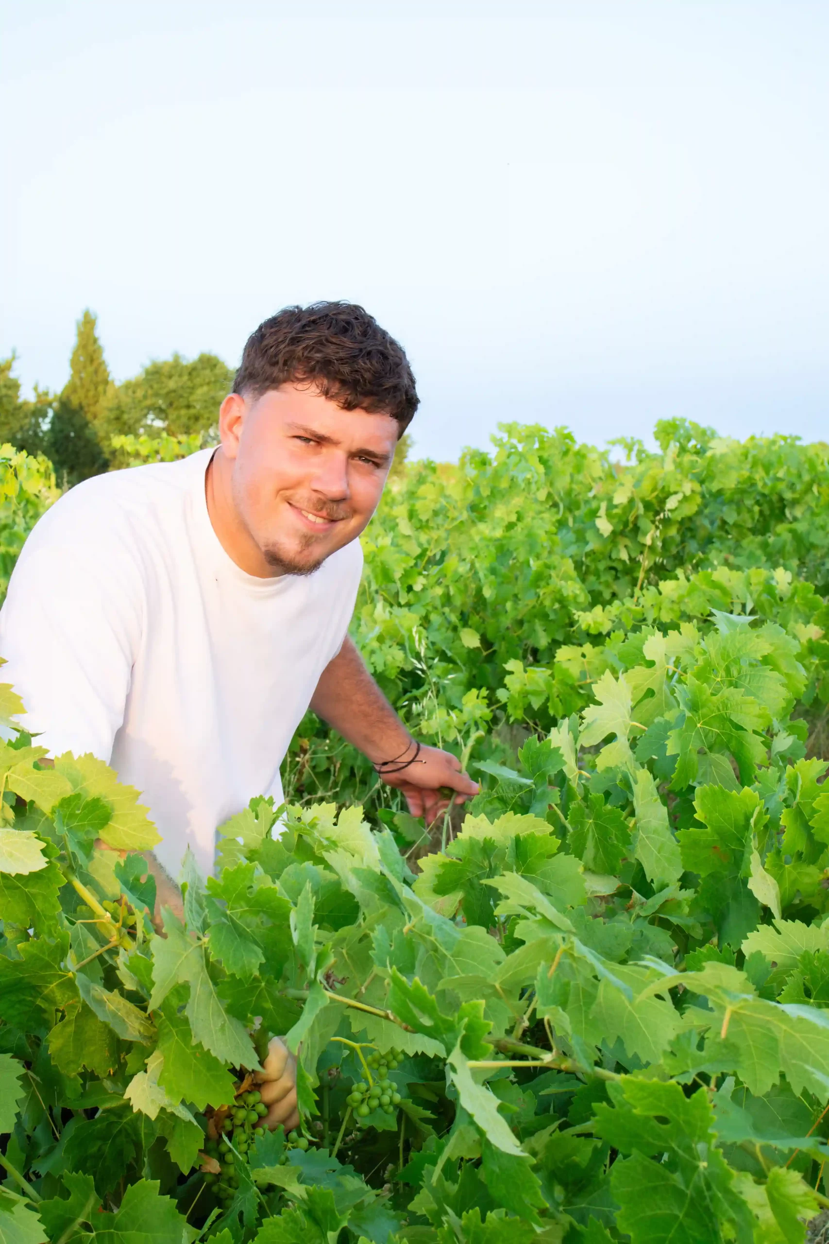 Numa Rouvier, vigneron du Mas Rouvier, dans les vignes